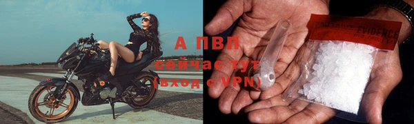 молекула духа Богородицк